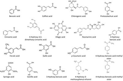 Applications of Alginate-Based Nanomaterials in Enhancing the Therapeutic Effects of Bee Products